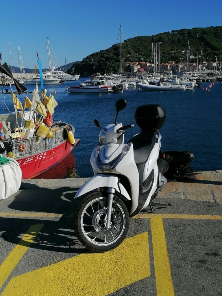 WhatsApp Image 2026-03-07 at 11.16.20 (1)