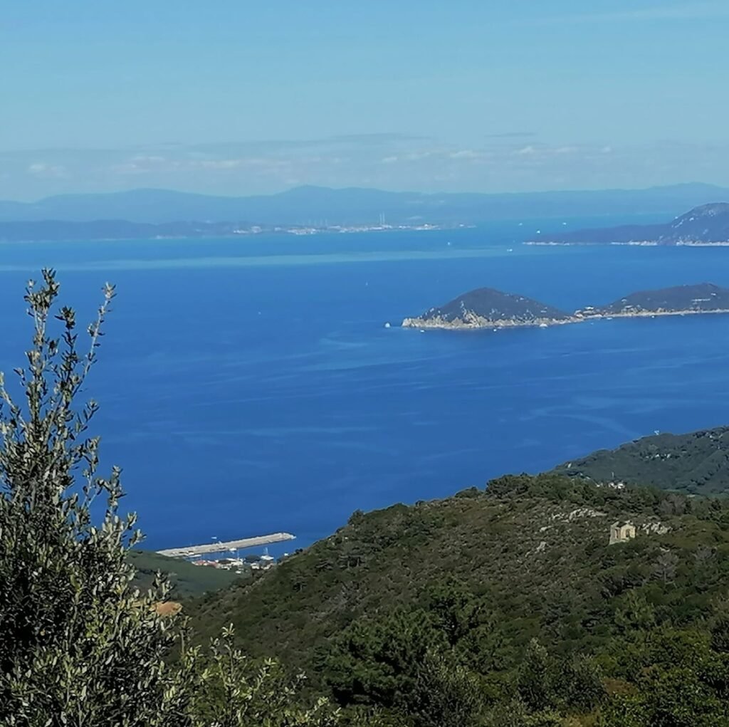 WhatsApp Image 2026-03-07 at 11.16.50 (1)