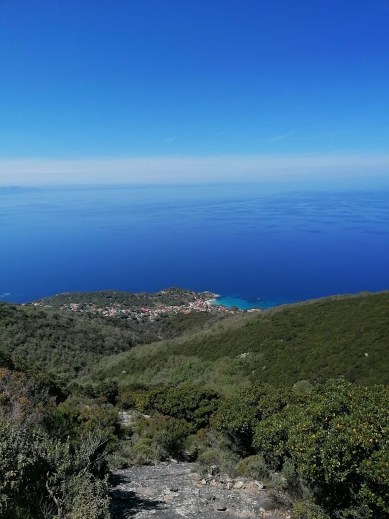 WhatsApp Image 2026-03-07 at 11.16.50 (2)