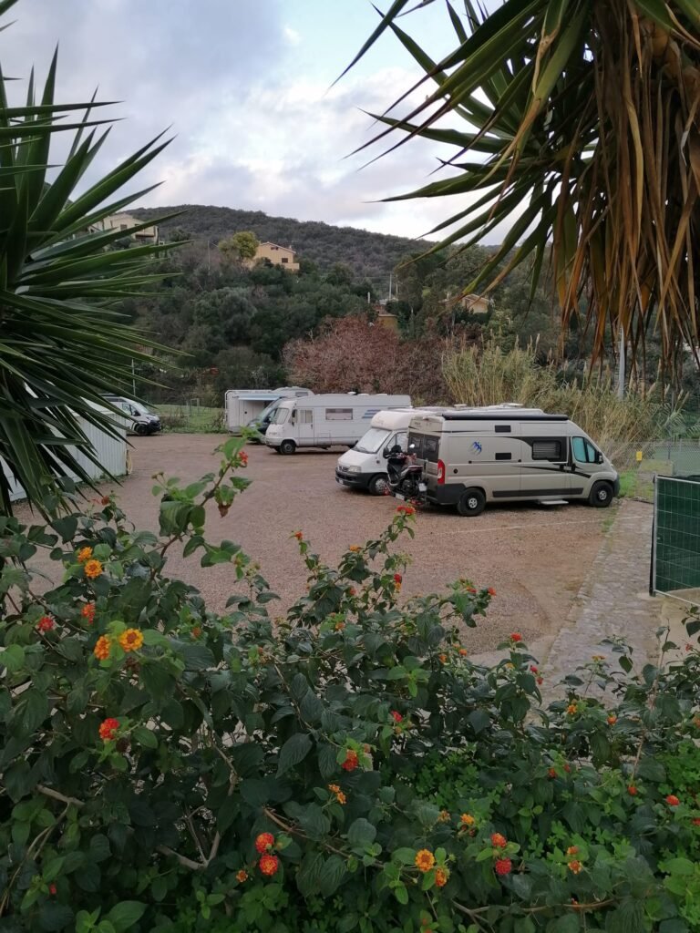 WhatsApp Image 2026-03-07 at 11.16.50 (3)