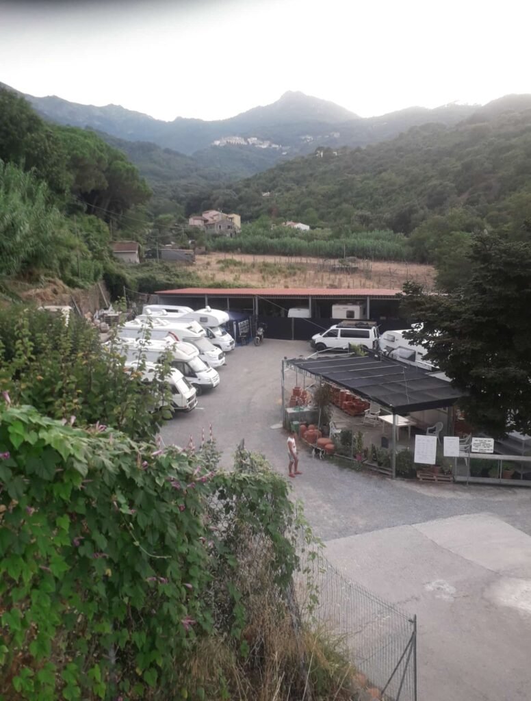 WhatsApp Image 2026-03-07 at 11.16.51 (3)