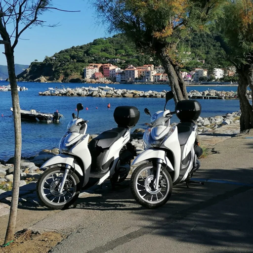 Come Muoversi all'Isola d'Elba Senza Auto | Moreno Rent